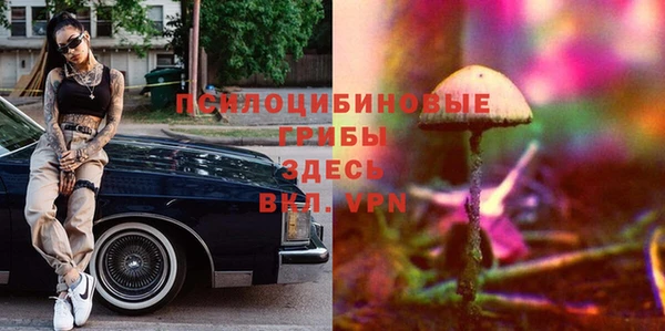 мет Балахна