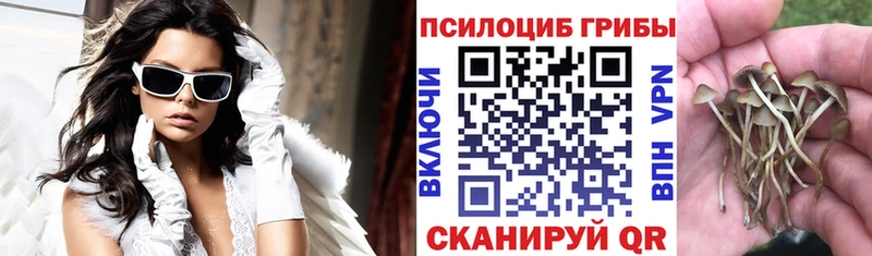 Галлюциногенные грибы Magic Shrooms  МЕГА зеркало  Городище 